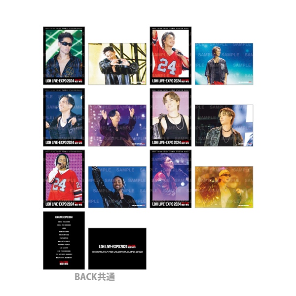 LDH LIVE-EXPO 2024 フォトカード/EXILE/全12種