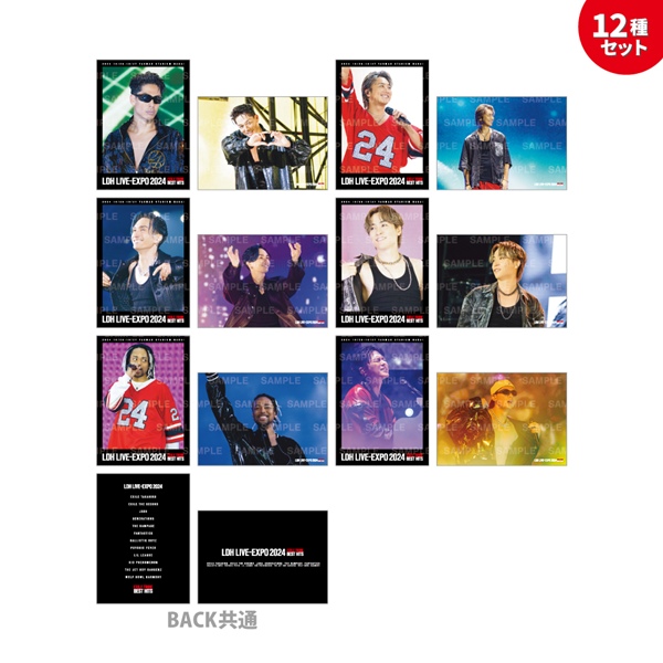 LDH LIVE-EXPO 2024 フォトカード/EXILE/12種セット