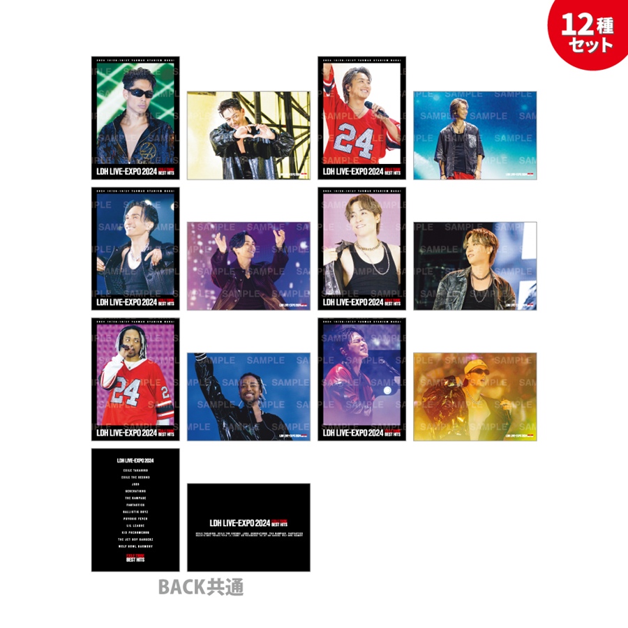 LDH LIVE-EXPO 2024 フォトカード/EXILE/12種セット 詳細画像 EXILE 1