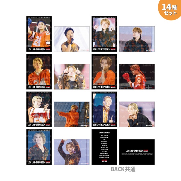 LDH LIVE-EXPO 2024 フォトカード/BALLISTIK BOYZ/14種セット