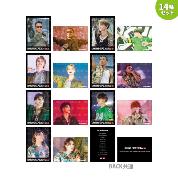 LDH LIVE-EXPO 2024 フォトカード/PSYCHIC FEVER/14種セット