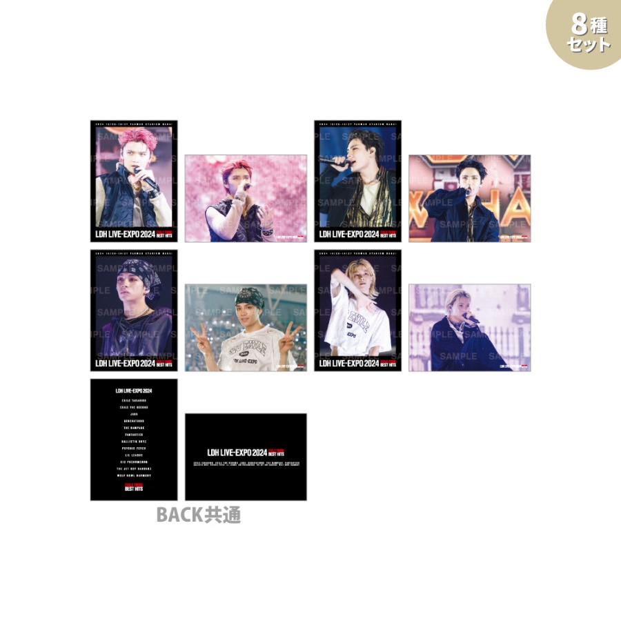LDH LIVE-EXPO 2024 フォトカード/WOLF HOWL HARMONY/8種セット 詳細画像 WOLF HOWL HARMONY 1