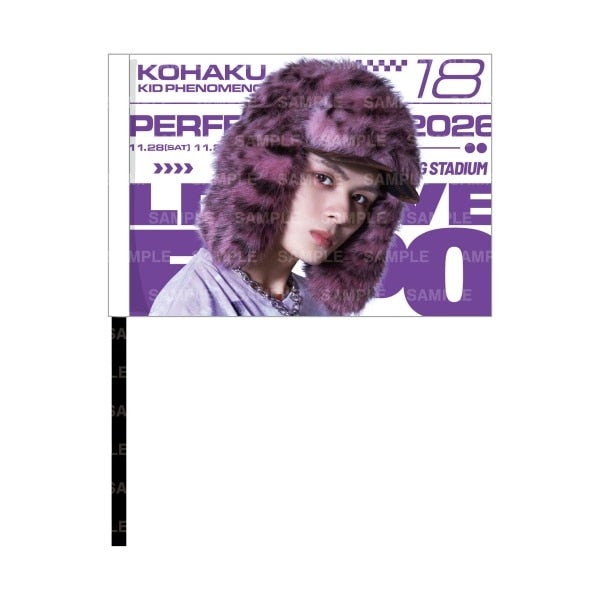 LDH LIVE-EXPO 2026 ビジュアルフラッグ/KID PHENOMENON 詳細画像