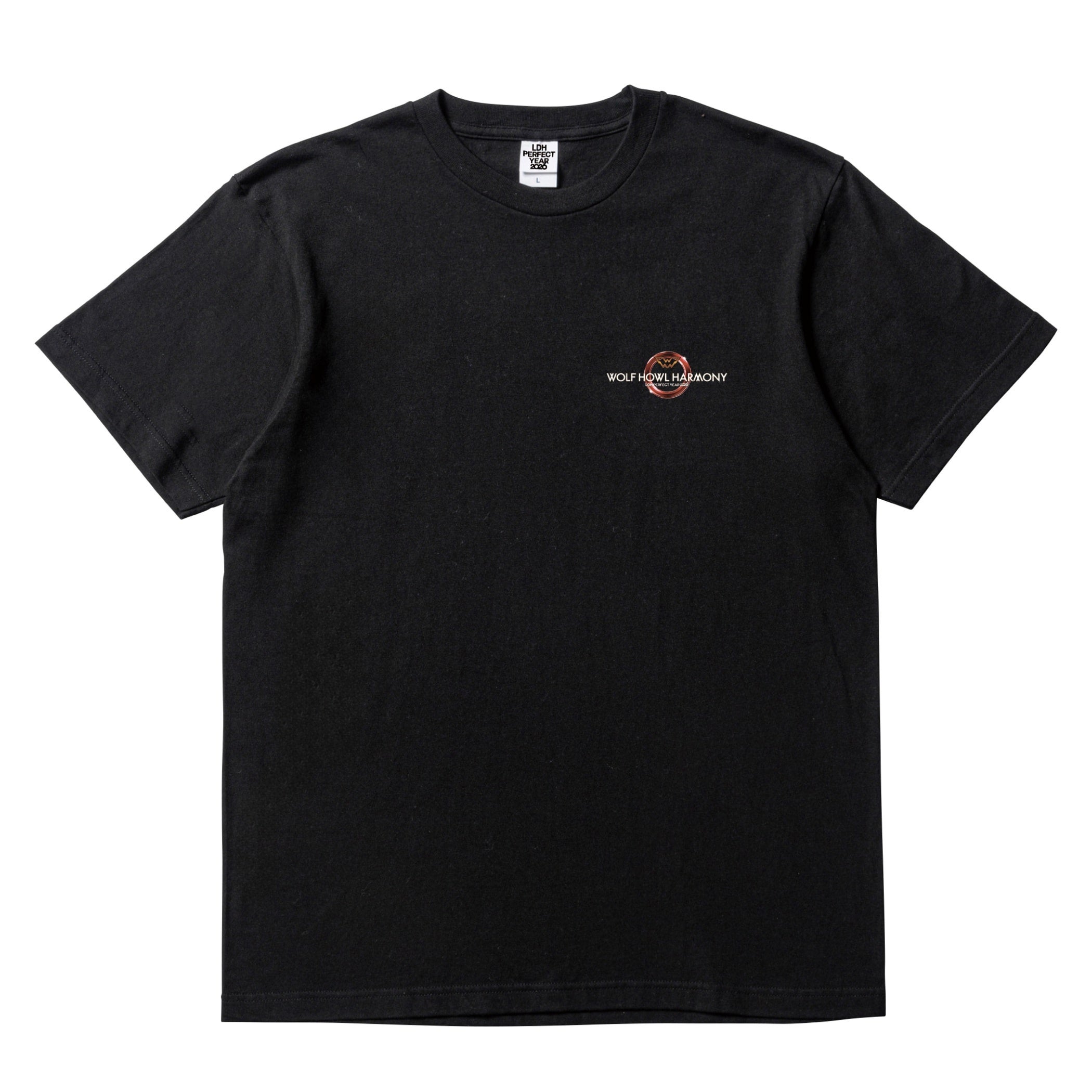WOLFHOWLHARMONY ロンT サイズ　M EXILE TRIBE STATION ONLINE STORE｜PERFECT YEAR 2026 ロゴTシャツ