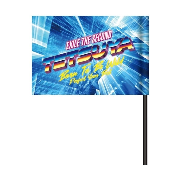 PERFECT YEAR BEST ～Born To Be Wild～ ビジュアルフラッグ/EXILE TETSUYA 詳細画像