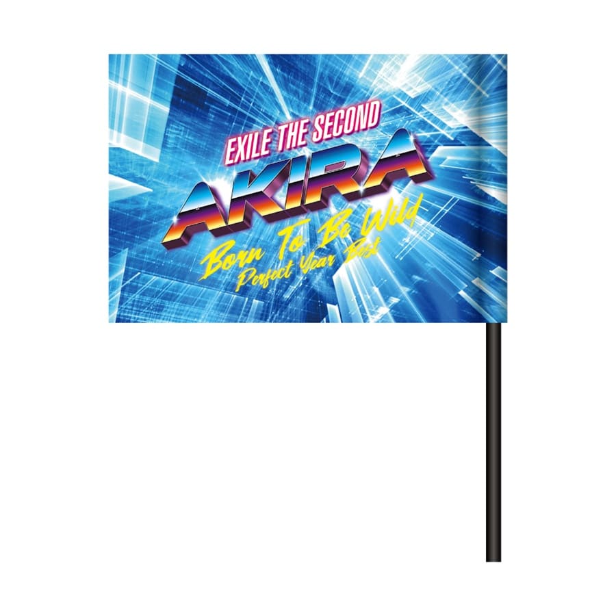 PERFECT YEAR BEST ～Born To Be Wild～ ビジュアルフラッグ/EXILE AKIRA 詳細画像 カラー共通 1