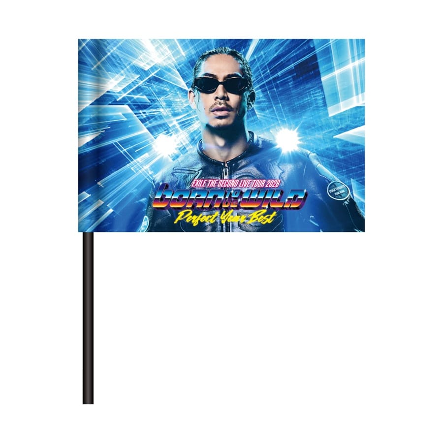 PERFECT YEAR BEST ～Born To Be Wild～ ビジュアルフラッグ/EXILE AKIRA 詳細画像 EXILE AKIRA 1