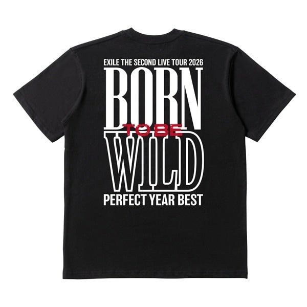 PERFECT YEAR BEST ～Born To Be Wild～ ロゴTシャツ/BLACK 詳細画像