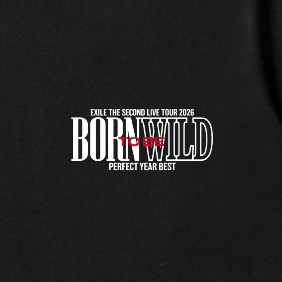 PERFECT YEAR BEST ～Born To Be Wild～ ロゴTシャツ/BLACK 詳細画像 カラー共通 2