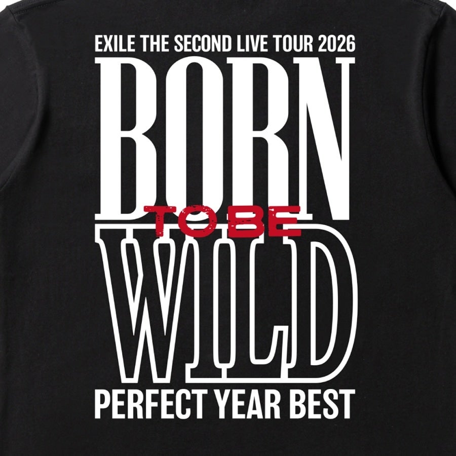 PERFECT YEAR BEST ～Born To Be Wild～ ロゴTシャツ/BLACK 詳細画像 カラー共通 3