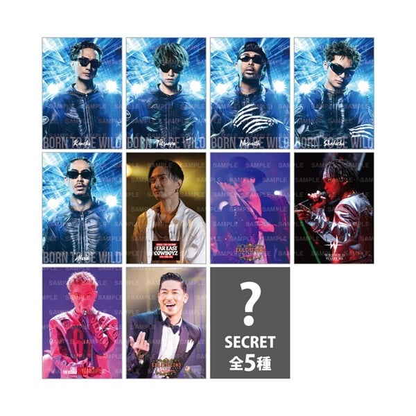 PERFECT YEAR BEST ～Born To Be Wild～ フォトカード/全10種+シークレット5種