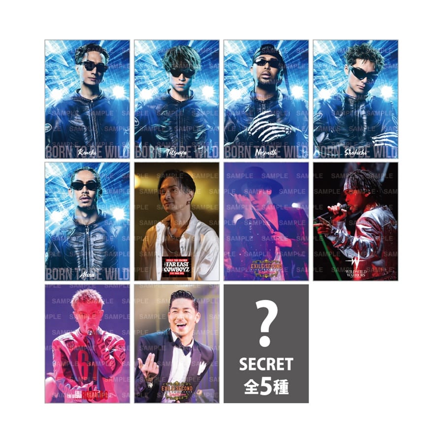 PERFECT YEAR BEST ～Born To Be Wild～ フォトカード/全10種+シークレット5種 詳細画像 OTHER 1