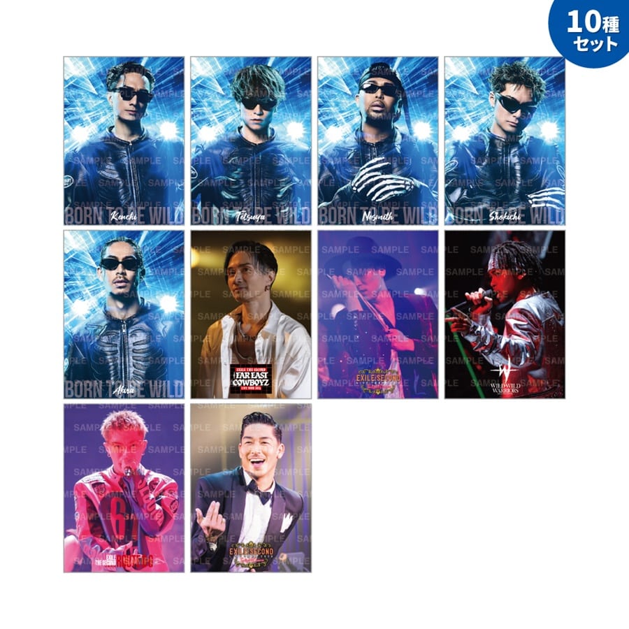 PERFECT YEAR BEST ～Born To Be Wild～ フォトカード/10種セット 詳細画像 OTHER 1