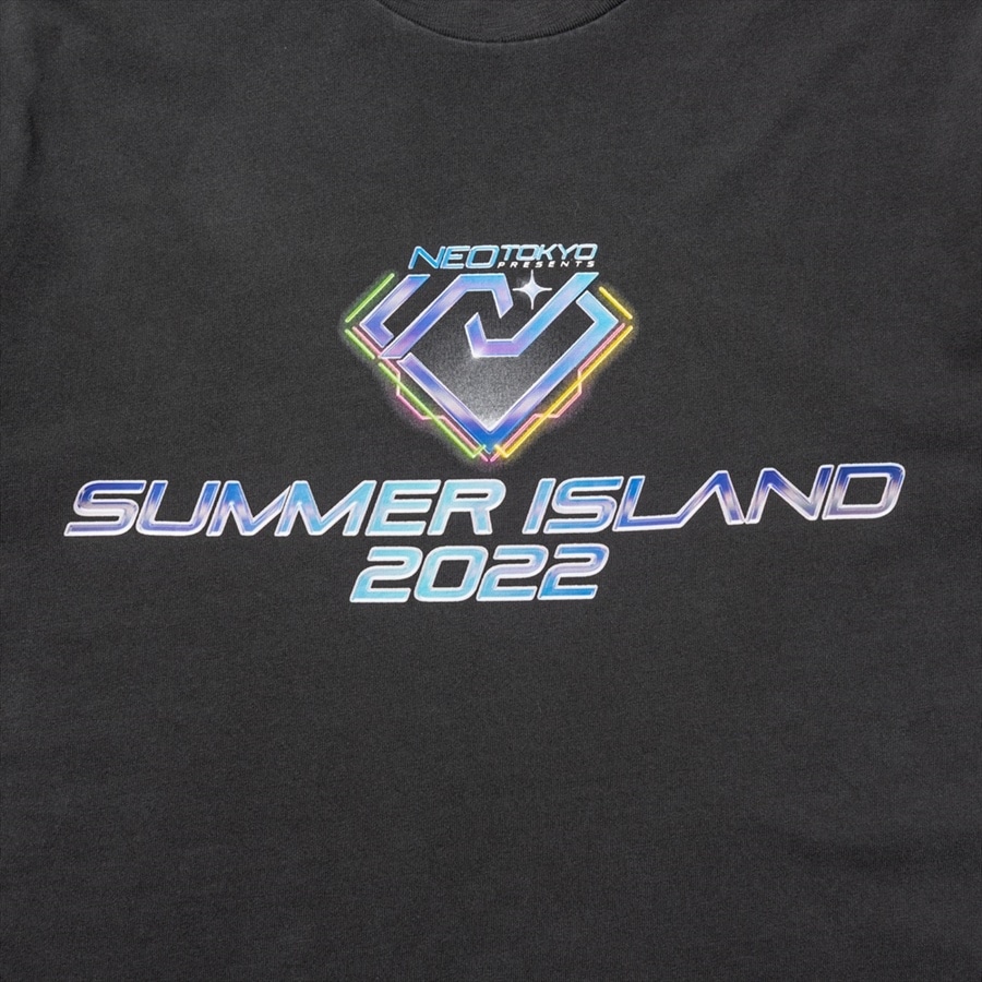 SUMMER ISLAND 2022 Tシャツ/GRAY 詳細画像 GRAY 2