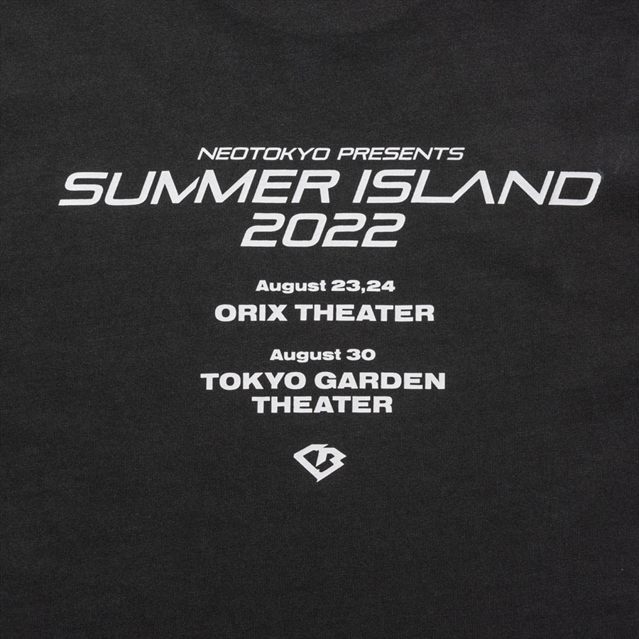 SUMMER ISLAND 2022 Tシャツ/GRAY 詳細画像 GRAY 3