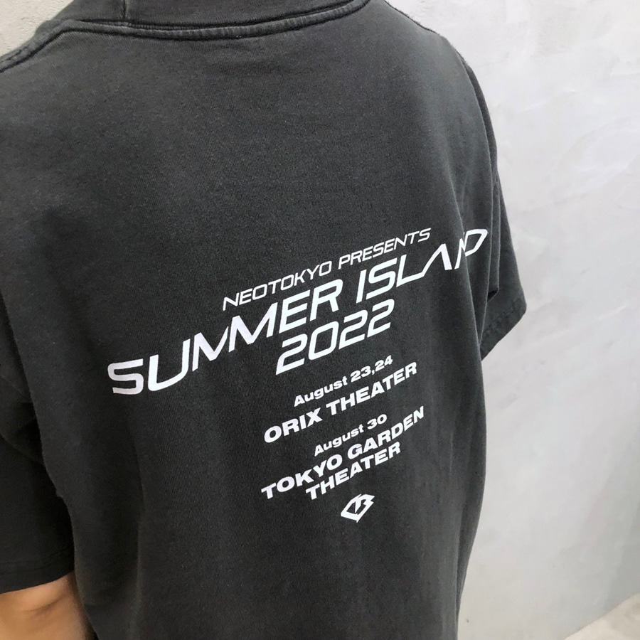 SUMMER ISLAND 2022 Tシャツ/GRAY 詳細画像 GRAY 6