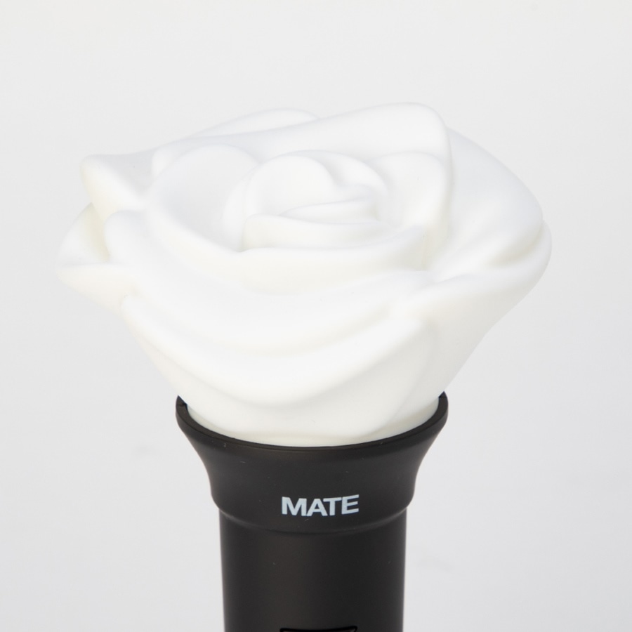 【三代目J SOUL BROTHERS】”MATE” Light  Stick