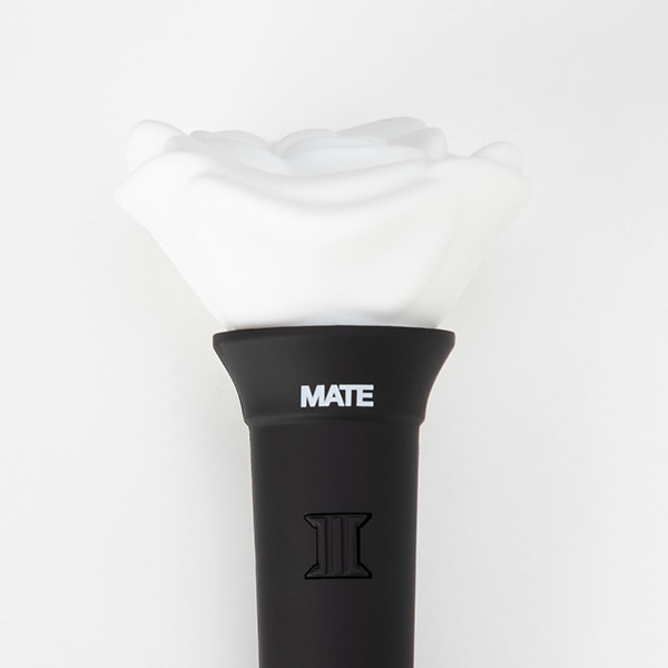 JSB3 Official “MATE” Light Stick Keyring/JSB3 詳細画像