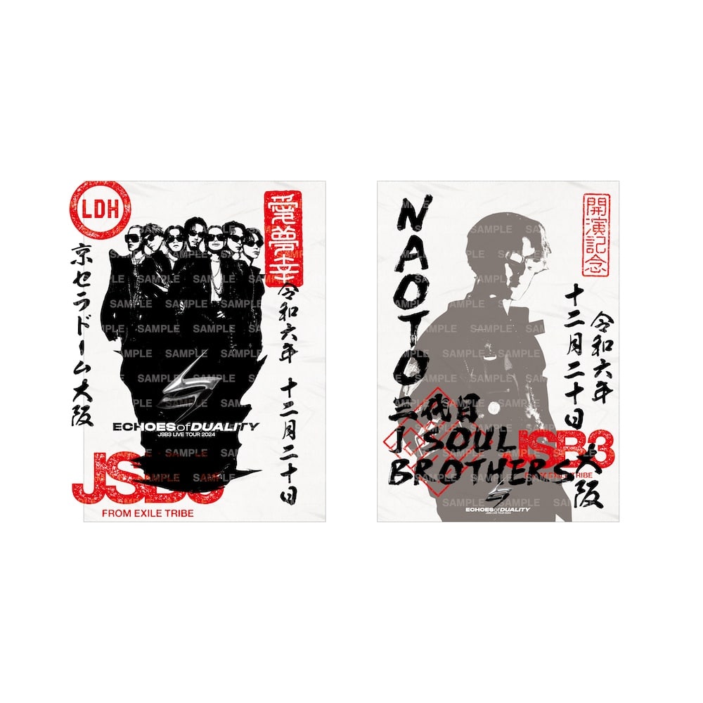 EXILE やせる LIVE TOUR PINS COLLECTION 12個セット