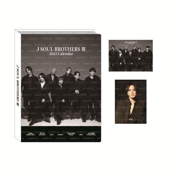 三代目 J SOUL BROTHERS 2025 カレンダー フォトカードホルダー&フォトカード2枚セット 詳細画像