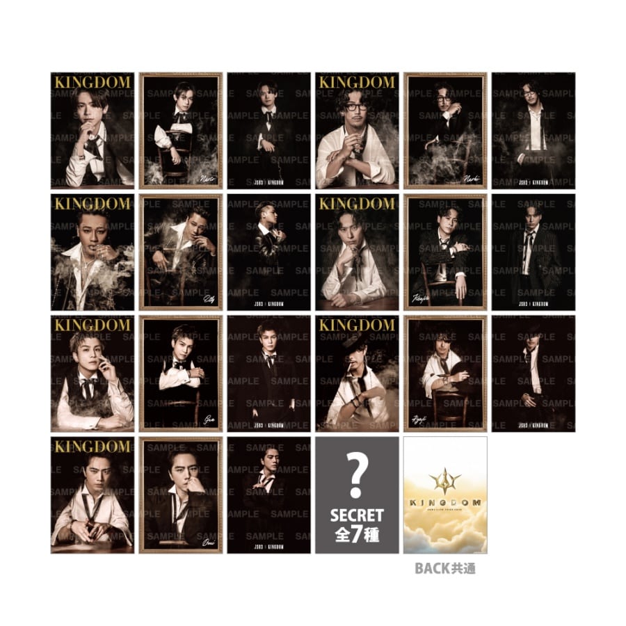 LIVE TOUR 2025 KINGDOM フォトカード/全21種+シークレット7種 詳細画像 OTHER 1