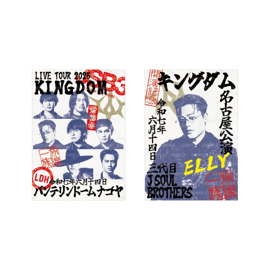 【6/14愛知】LIVE TOUR 2025 KINGDOM 御楽印2枚セット 詳細画像 ELLY 1