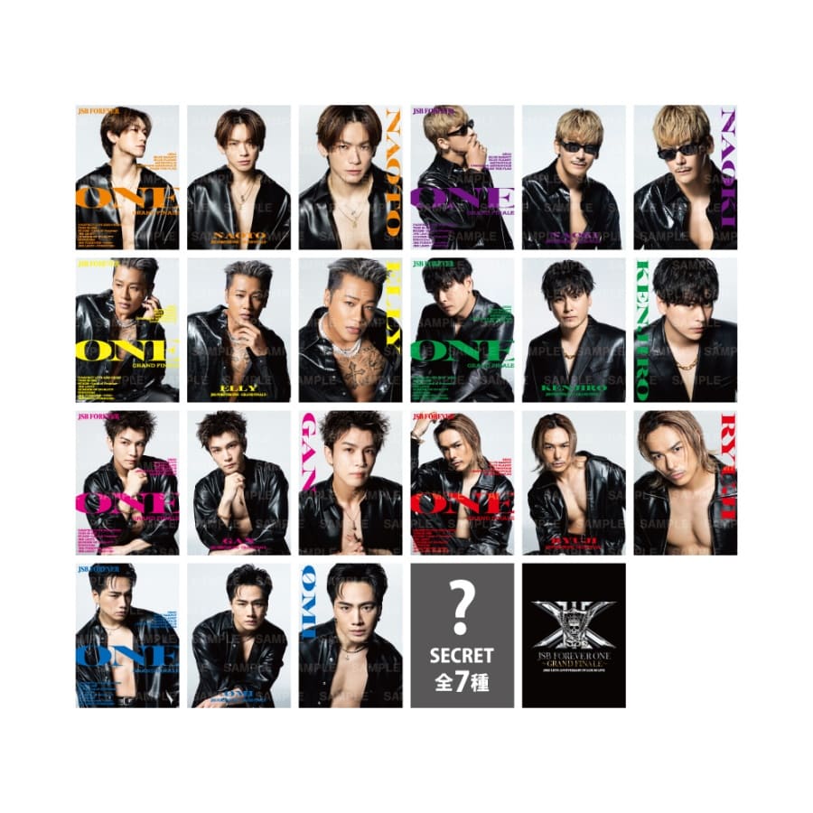 JSB FOREVER ONE GRAND FINALE フォトカード/全21種+シークレット7種 詳細画像 OTHER 1