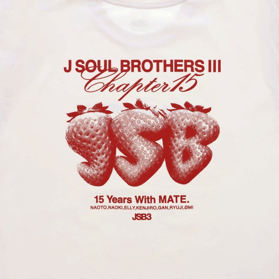Chapter15 ロゴTシャツ 詳細画像 カラー共通 2
