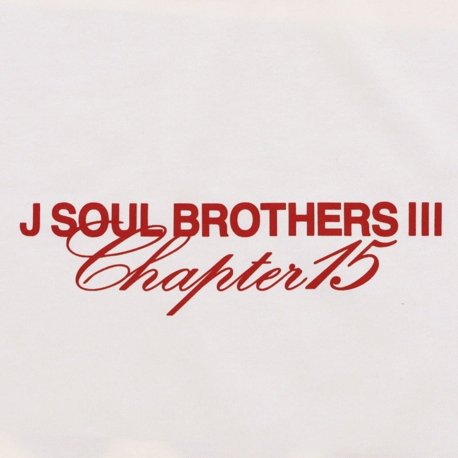Chapter15 ロゴTシャツ 詳細画像 カラー共通 3