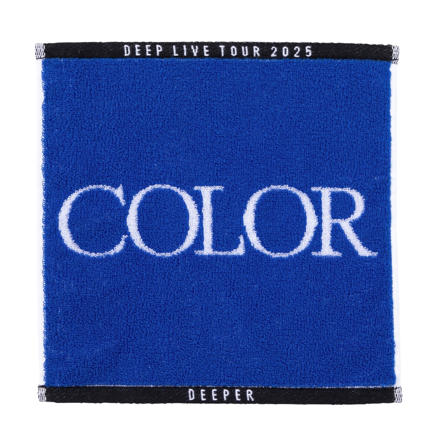 COLOR ハンドタオル 詳細画像 BLUE 1