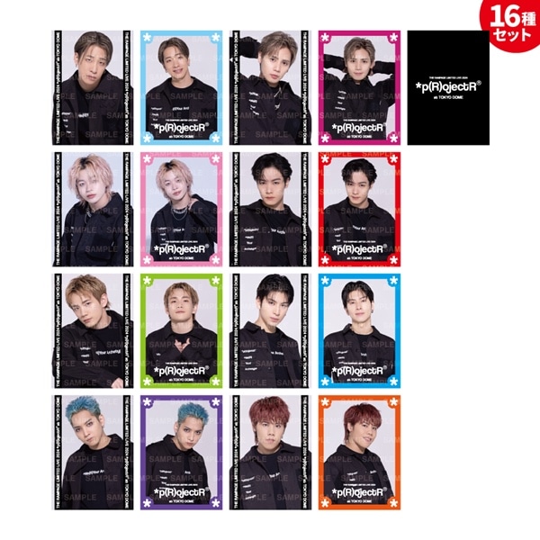 RAMPAGE 16 フォトカード コンプリート セット RAMPAGE 16 フォトカード コンプリート セット（EXILE TRIBE