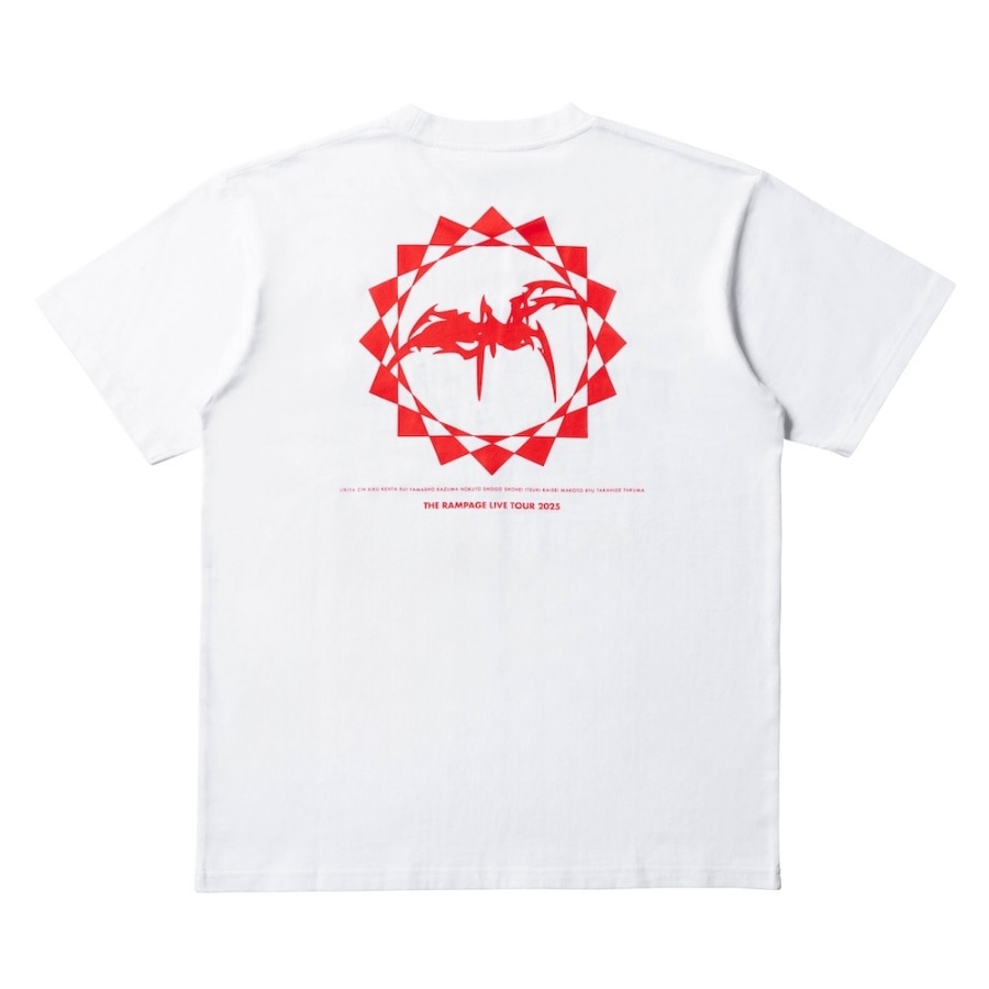 PRIMAL SPIDER ～巡らせる糸～ Tシャツ/WHITE 詳細画像 カラー共通 1