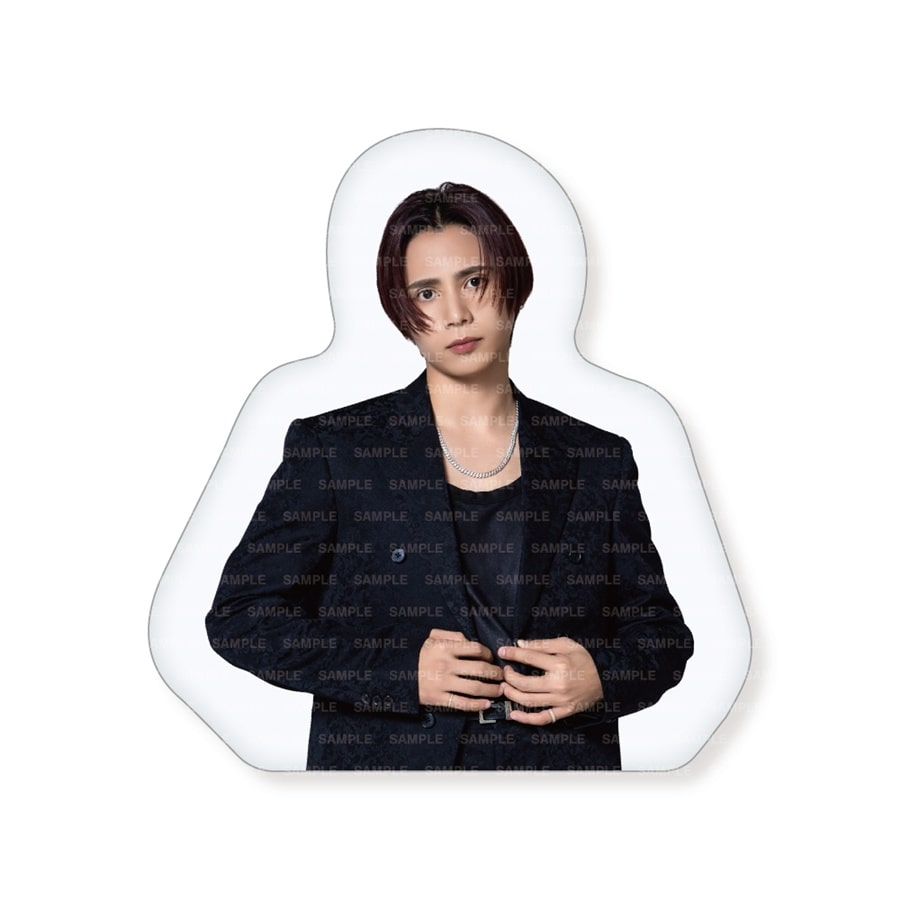 THE RAMPAGE 2026 カレンダー ダイカットクッション 詳細画像 神谷健太 1