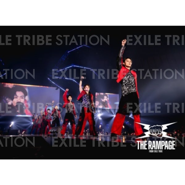 PRIMAL SPIDER LIVE PHOTO 004