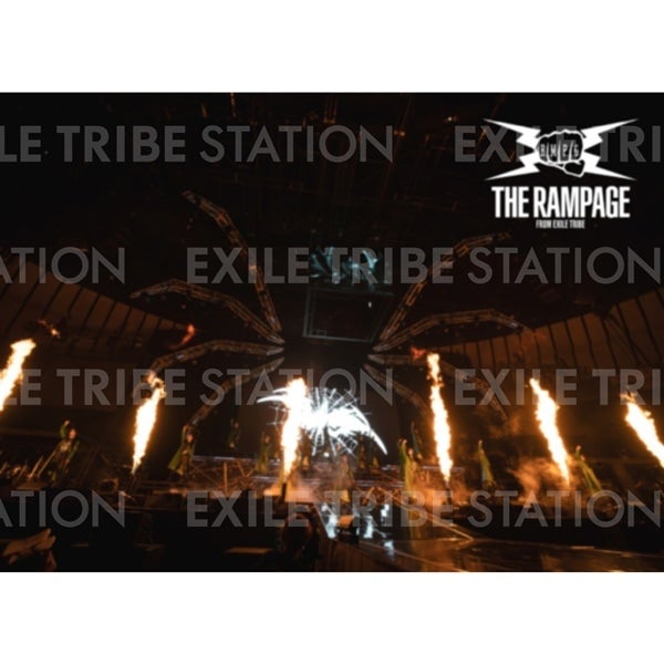 PRIMAL SPIDER LIVE PHOTO 008