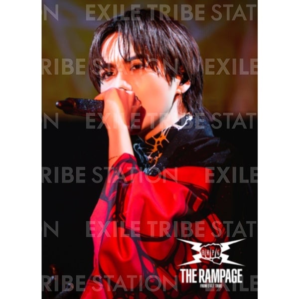 PRIMAL SPIDER LIVE PHOTO 170