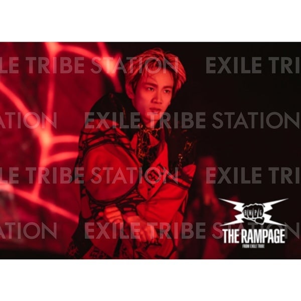 PRIMAL SPIDER LIVE PHOTO 210