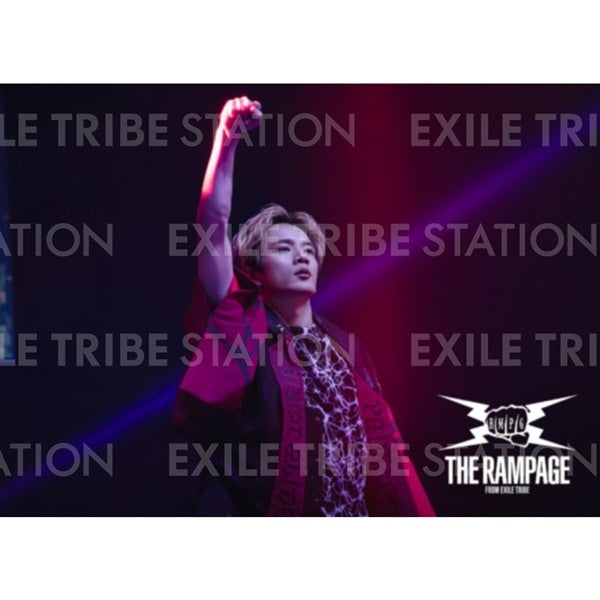 PRIMAL SPIDER LIVE PHOTO 212