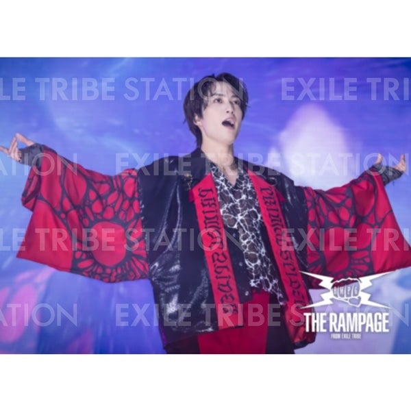 PRIMAL SPIDER LIVE PHOTO 231