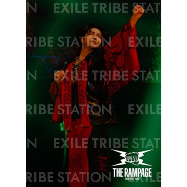 PRIMAL SPIDER LIVE PHOTO 250