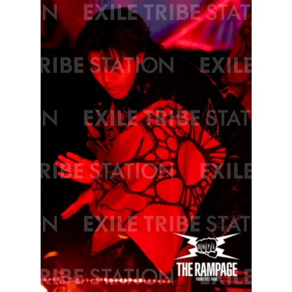 PRIMAL SPIDER LIVE PHOTO 252