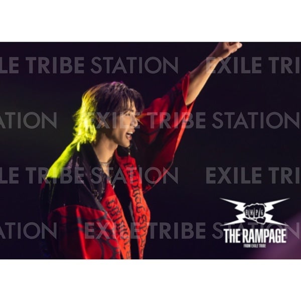 PRIMAL SPIDER LIVE PHOTO 253