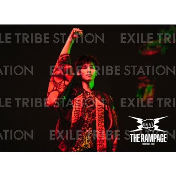 PRIMAL SPIDER LIVE PHOTO 270