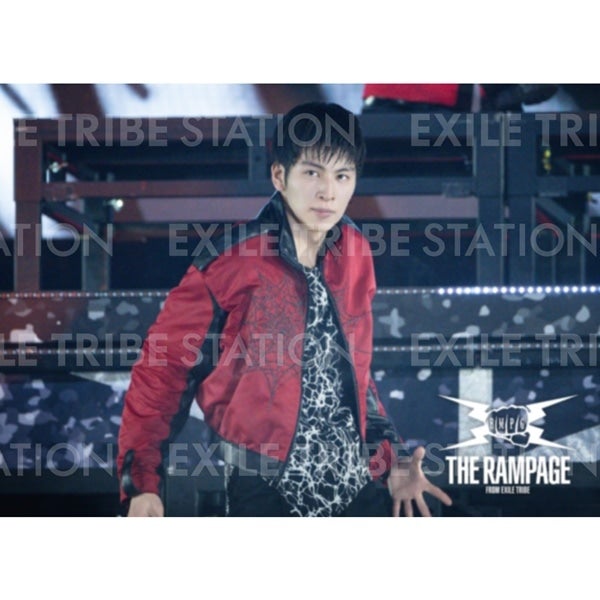 PRIMAL SPIDER LIVE PHOTO 274