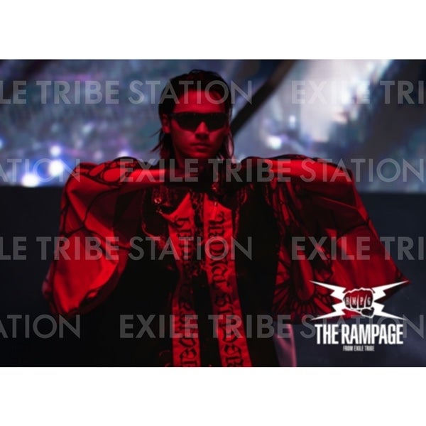 PRIMAL SPIDER LIVE PHOTO 290