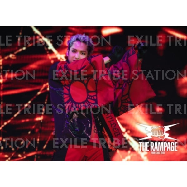 PRIMAL SPIDER LIVE PHOTO 313