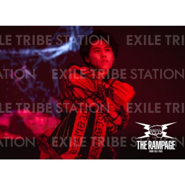 PRIMAL SPIDER LIVE PHOTO 330