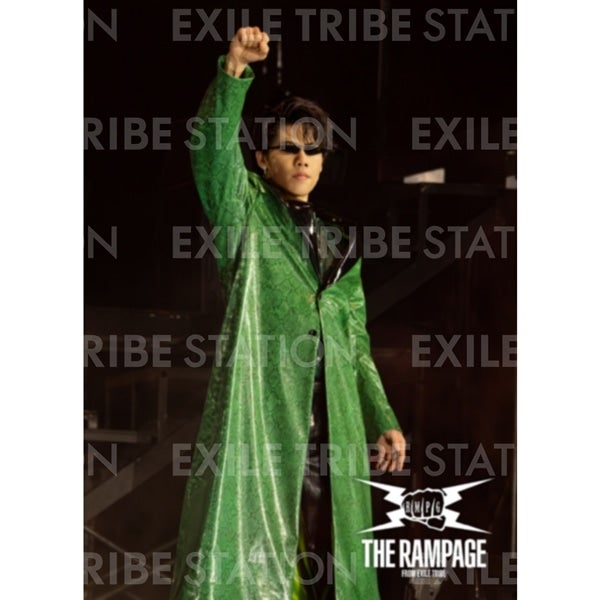 PRIMAL SPIDER LIVE PHOTO 337