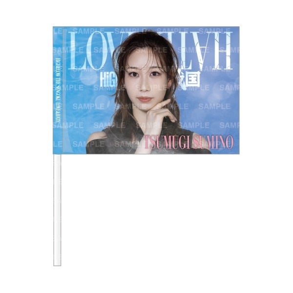 LOVE&HATE ビジュアルフラッグ/澄乃紬