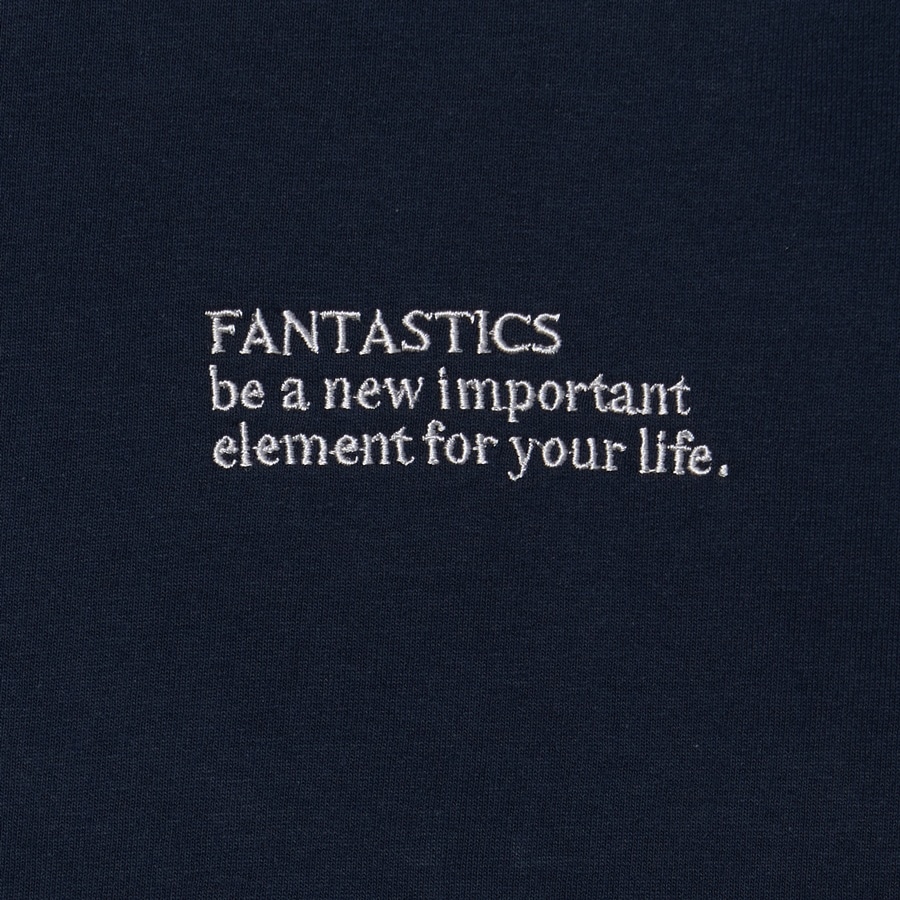 FAN FAN STEP Tee LS 詳細画像 NAVY 3